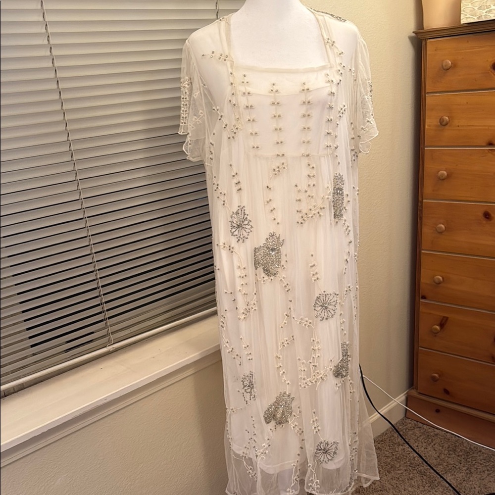 Sheryl Crow Elegant Sheer Overlay Beaded Dress & Under Dress
